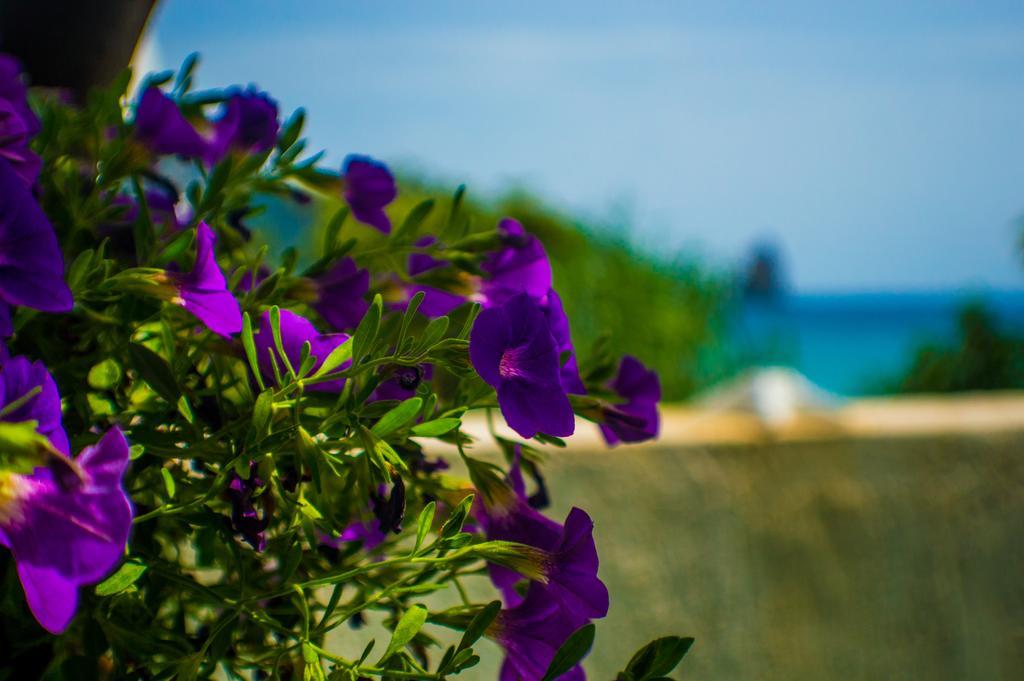 Agathi Beach House Agios Gordios  Exterior photo